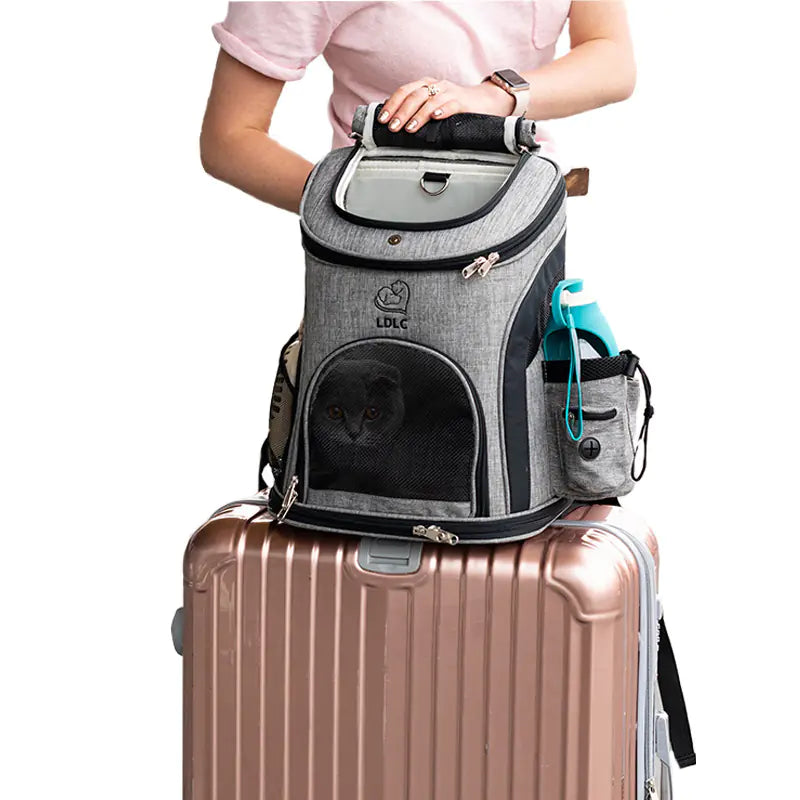 Wiskers &amp; Wag™ WanderPaws™ Pet Backpack
