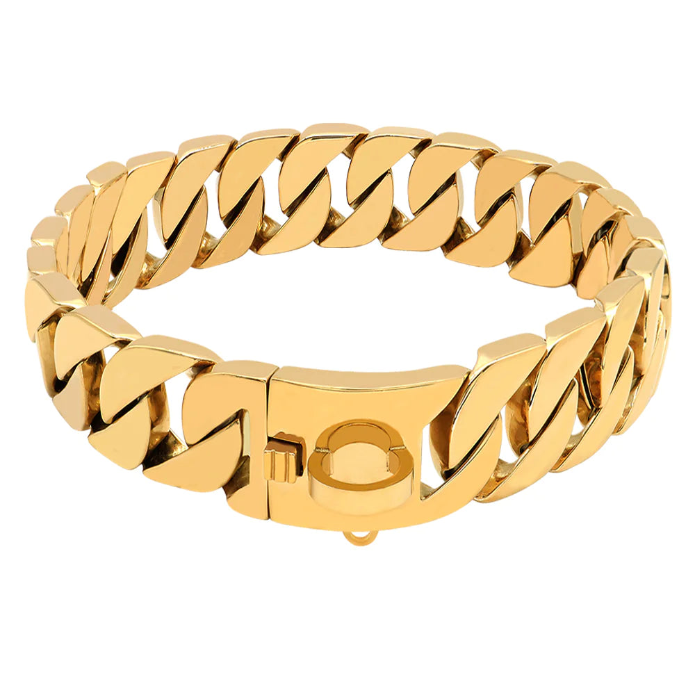 Wiskers & Wag™ BoldBond™ Stainless Steel Collar